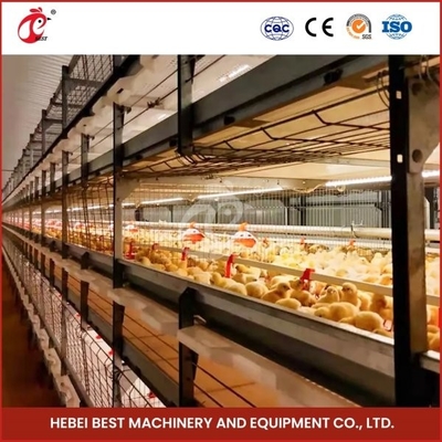 Tự động 4 Tier H loại gà gà lồng cho trang trại gà Ada
