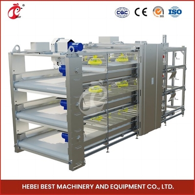 96 chim H loại tự động Chicken Chick Cage / một loại Chicken Cage Broiler với cửa trượt Rose
