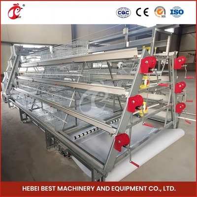 Chế độ sinh sản tự động Chế độ sinh sản tự động Chicken Cage
