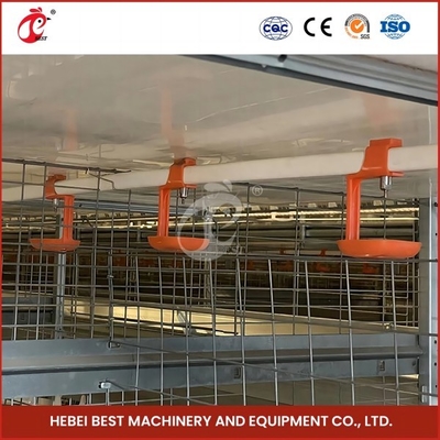 Chế độ sinh sản tự động Chế độ sinh sản tự động Chicken Cage