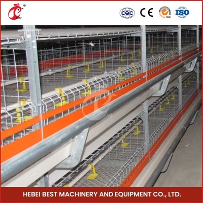 96-128 Gà gà thịt gà lồng gà hoàn toàn tự động Mia