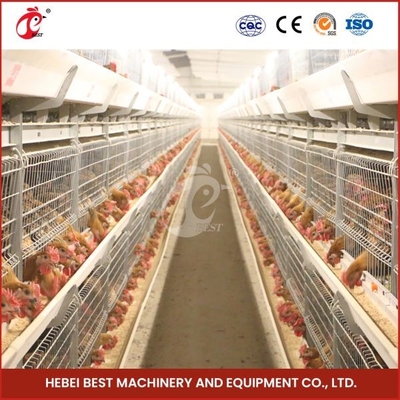 Sân vận chuyển gà sốt nóng màu bạc bền vững đáng tin cậy Mia