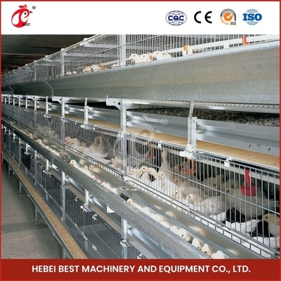 Sân vận chuyển gà sốt nóng màu bạc bền vững đáng tin cậy Mia