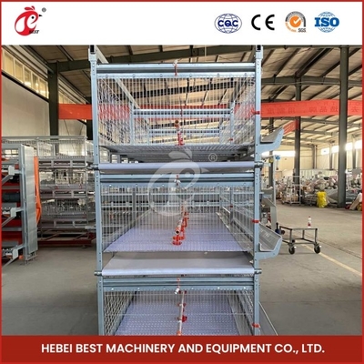 Quá trình chăn nuôi đơn giản hóa Lò nuôi gia cầm chuồng sinh sản Lò tự động Chăn nuôi và làm sạch Mia