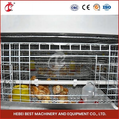 Ngôi nhà nuôi gia cầm ắc quy ếch ếch ếch ếch ếch