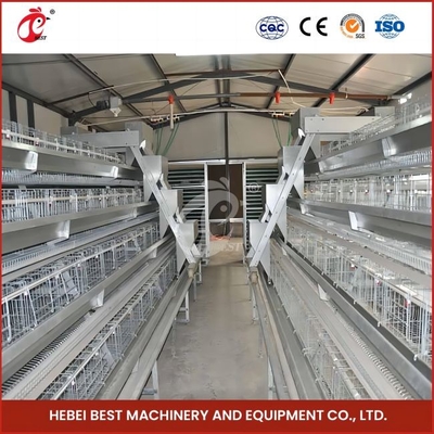 96 chim H loại tự động Chicken Chick Cage / một loại Chicken Cage Broiler với cửa trượt Rose