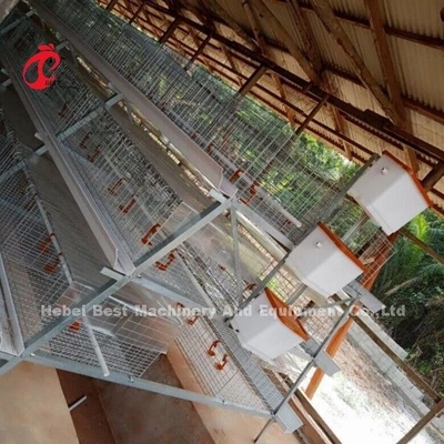 3 hoặc 4 Tier Chick Rearing Cage H Belt Hệ thống làm sạch bằng tay 2x2x1.6meters Doris