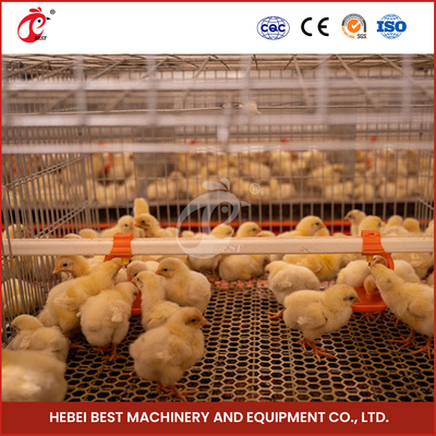 Lồng đẻ ốc nóng sâu cho gà con
