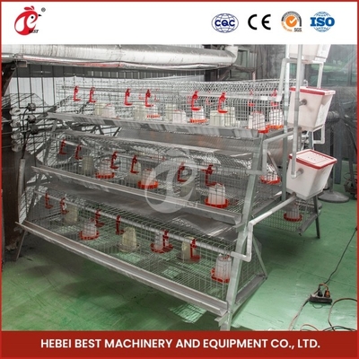 2 cửa bền Chick Brooder Cage Hệ thống cho ăn tự động Emily