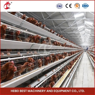 Chuồng lưới H loại Chicken Chicken với thông gió cho chim khỏe mạnh Sandy
