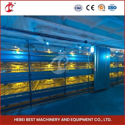 Tiết kiệm không gian Hệ thống lồng gà thịt tự động cho 120-200 con gà