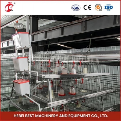 1.6m rộng 4 lớp lồng cho nông dân nuôi gia cầm hoa hồng