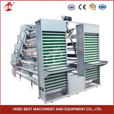 Chăn nuôi gà gia cầm lớp lồng với 3/4/5/6/7/8 lớp Emily Wang