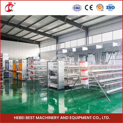 Hệ thống lồng gia cầm màu trắng vững chắc cho 96-200 chim