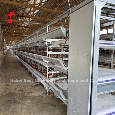 Trồng trứng gà nuôi gia cầm Lớp lồng Máy phun điện tĩnh Ada