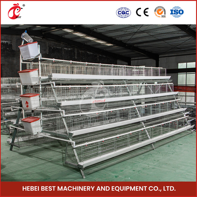 120 Chicken Wire Mesh Cage với Nipple Drinker và Cage Capacity Of 120 Star