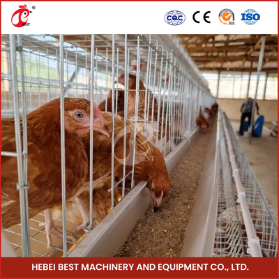 4-6 Chim Lớp gia cầm Cage với Hot Dip Galvanized Finish Star