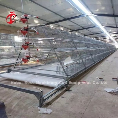 Loại H tự động Loại H gà gà gà lồng Video cài đặt Kiểm tra đi ra cung cấp hoa hồng