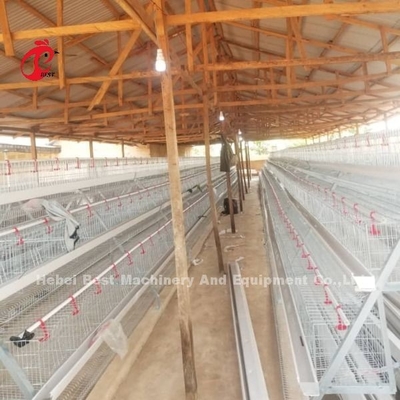Hệ thống lồng pin loại A bán tự động với xe chăn nuôi cho các lớp đẻ trứng Ada
