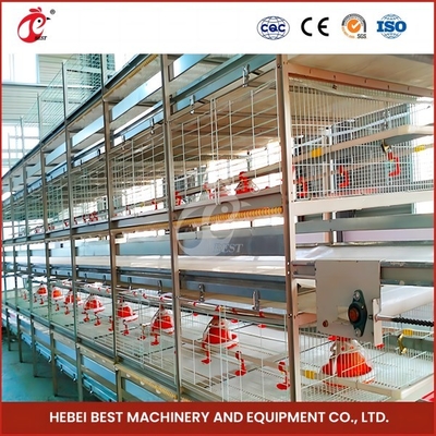 Tối đa hóa hiệu quả nuôi bằng hệ thống lồng nuôi gà