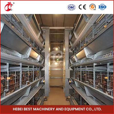 Dễ dàng cài đặt hệ thống lồng pin tự động lớp gia cầm với Iris ngực uống