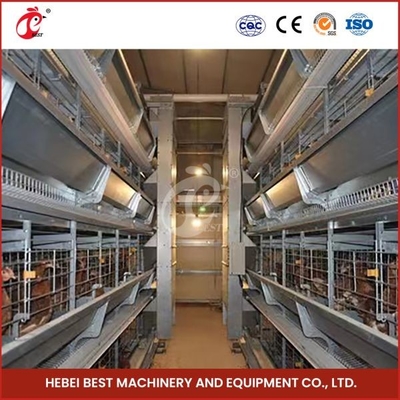 Hệ thống lồng nuôi gia cầm bằng nhựa hoặc kim loại cho hiệu quả nuôi cao Mia