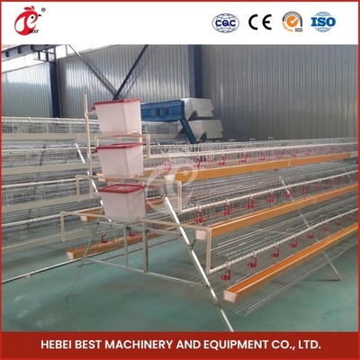 Q235 lớp thép sợi lớp hệ thống lồng nông nghiệp với núm vú và núm vú với cốc sao