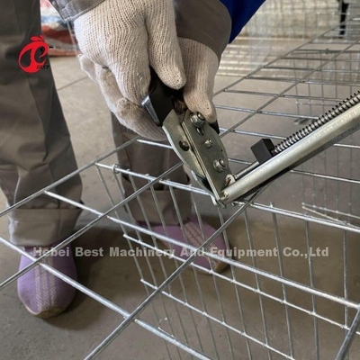 Tùy chỉnh thép kẽm loại A lồng lớp gia cầm cho điểm của lay Sandy