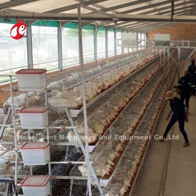 8 lớp thép gà lồng để đẻ trứng Iris