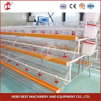 120 chim nóng kẽm chuồng pin một loại lớp gà chuồng Mia