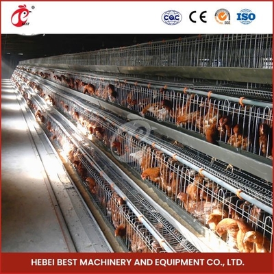 120 chim nóng kẽm chuồng pin một loại lớp gà chuồng Mia