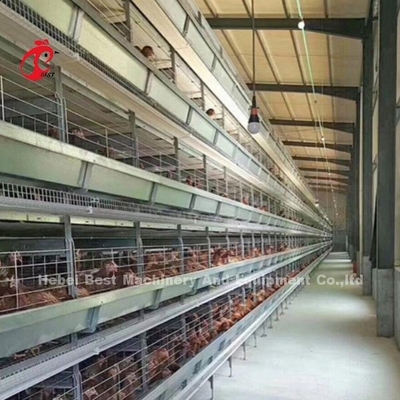 Hệ thống lồng gia cầm mô-đun cho các trang trại lớp Hot Dip Galvanized Cage pin Capacity 96-200 Birds Sandy