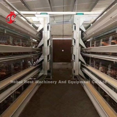 Hệ thống lồng pin lớp tự động H khung cho 30000 chim