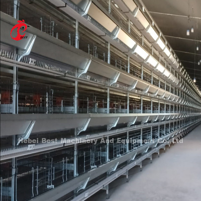 Thiết kế mới H loại hệ thống lồng gà tự động 96-200 chim Capacity cho nuôi gia cầm Emily Wang