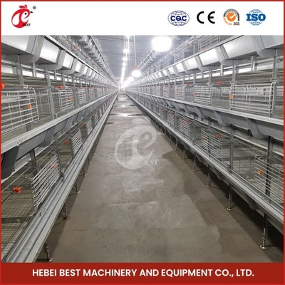 H hình H loại gà gà với cửa trượt 450cm2 Vùng đất / Bird Video cài đặt bao gồm Ada