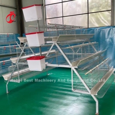 96-200 Bird Capacity White Layer Cage in Nigeria Hot Dip Galvanized Steel Star
