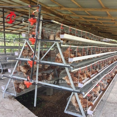 3 Tier 120 chim và 4 Tier 160 chim lớp hệ thống lồng pin cho Uganda Tanzania nuôi gia cầm Sandy