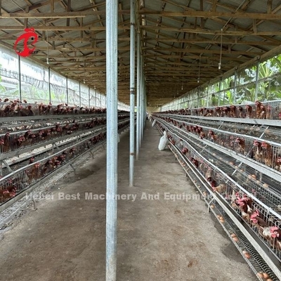 Tốt nhất Thương hiệu đáng tin cậy nuôi gia cầm chuồng hệ thống quản lý gia cầm Iris