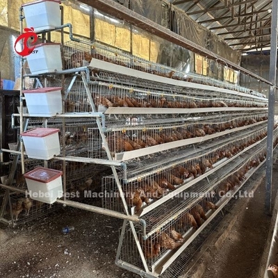 Tốt nhất Thương hiệu đáng tin cậy nuôi gia cầm chuồng hệ thống quản lý gia cầm Iris