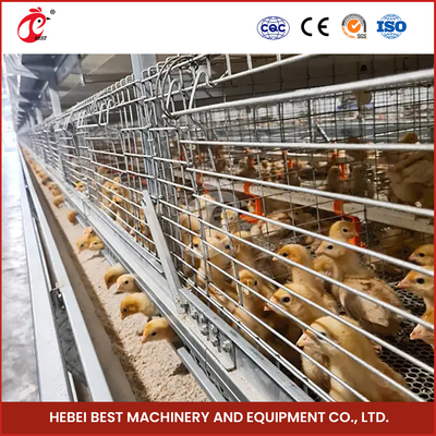 Hệ thống lồng nuôi gia cầm nhôm với đường kính dây lồng 2,8-3,5mm Mia