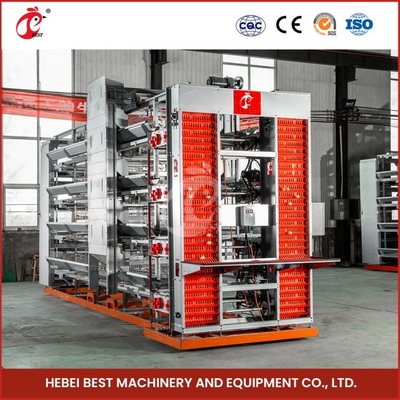 20-25 năm Tuổi thọ Lớp Chăn nuôi lồng Hệ thống gia cầm loại A Mia