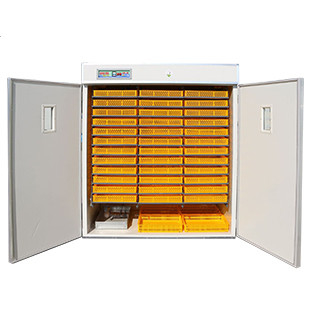 Máy ấp trứng tự động công nghiệp Cửa sổ quan sát hai lớp 220v