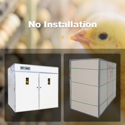 Máy ấp trứng tự động công nghiệp Cửa sổ quan sát hai lớp 220v