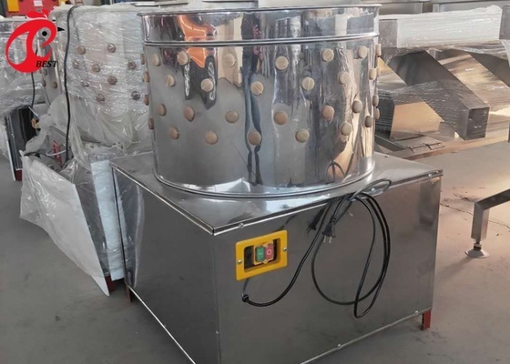 Máy vặt lông gà tự động 180 con mỗi giờ và 500 con mỗi giờ Ada