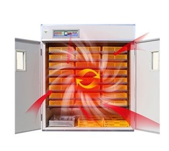 Máy ấp trứng tự động công nghiệp Cửa sổ quan sát hai lớp 220v