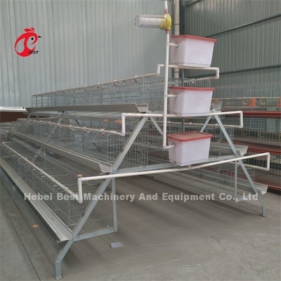 Hệ thống lồng nuôi gia cầm A Loại 3 4 tầng Lồng trứng gà Emily