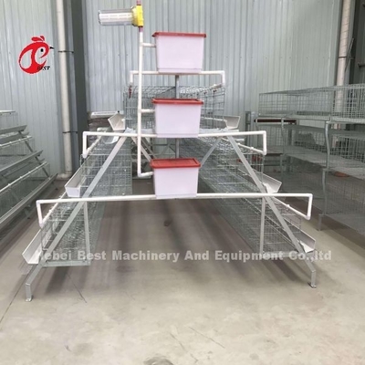 Hệ thống lồng gia cầm 3 tầng Mia