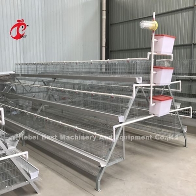 Trang trại chăn nuôi gia cầm tự động 120 lớp Lồng bạc Adela