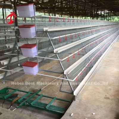 Người dùng thân thiện Lớp lồng gia cầm để nuôi gia cầm miễn phí Adela