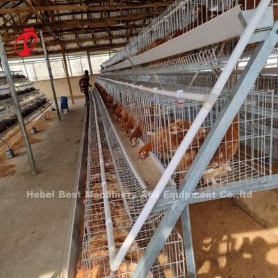 Hệ thống chuồng nuôi gia cầm tự động với thiết bị uống và cho ăn Adela